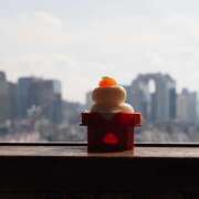 ヒメ日記 2025/01/15 21:59 投稿 ゆうこ あけみ