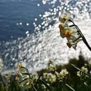 ヒメ日記 2025/01/25 10:02 投稿 ゆうこ あけみ