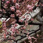 ヒメ日記 2025/02/07 11:27 投稿 ゆうこ あけみ