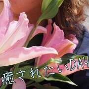 ヒメ日記 2025/02/25 22:16 投稿 ゆうこ あけみ