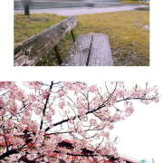 ヒメ日記 2025/03/11 21:07 投稿 ゆうこ あけみ