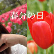 ヒメ日記 2025/03/20 21:03 投稿 ゆうこ あけみ