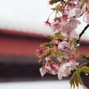 ヒメ日記 2025/03/22 22:51 投稿 ゆうこ あけみ