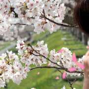 ヒメ日記 2025/04/09 10:26 投稿 ゆうこ あけみ