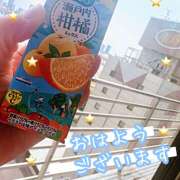 ヒメ日記 2025/04/13 10:41 投稿 ゆうこ あけみ