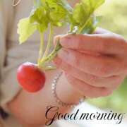 ヒメ日記 2025/04/29 09:07 投稿 ゆうこ あけみ