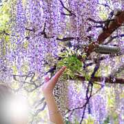 ヒメ日記 2025/05/12 10:36 投稿 ゆうこ あけみ