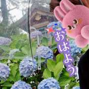 ヒメ日記 2025/05/19 09:12 投稿 ゆうこ あけみ