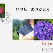 ヒメ日記 2025/05/28 16:28 投稿 ゆうこ あけみ
