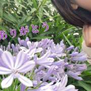 ヒメ日記 2025/06/01 20:27 投稿 ゆうこ あけみ