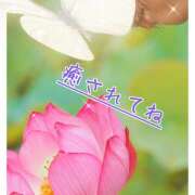 ヒメ日記 2025/06/10 08:06 投稿 ゆうこ あけみ