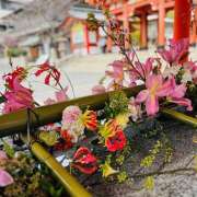 ヒメ日記 2025/07/27 11:01 投稿 ゆうこ あけみ