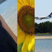 ヒメ日記 2025/08/08 09:02 投稿 ゆうこ あけみ