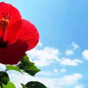 ヒメ日記 2025/08/22 12:24 投稿 ゆうこ あけみ