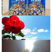 ヒメ日記 2025/08/24 11:26 投稿 ゆうこ あけみ