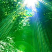 ヒメ日記 2025/10/13 12:15 投稿 ゆうこ あけみ