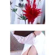 ヒメ日記 2025/10/20 09:07 投稿 ゆうこ あけみ