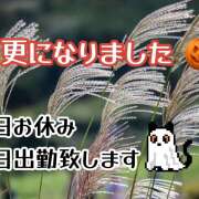 ヒメ日記 2025/10/22 09:39 投稿 ゆうこ あけみ
