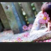 ヒメ日記 2025/11/03 21:46 投稿 ゆうこ あけみ