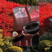 ヒメ日記 2025/11/17 09:29 投稿 ゆうこ あけみ