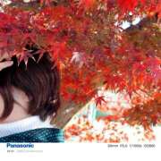 ヒメ日記 2025/11/23 22:35 投稿 ゆうこ あけみ