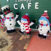 ヒメ日記 2025/12/16 19:10 投稿 ゆうこ あけみ