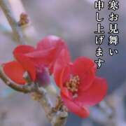 ヒメ日記 2026/02/13 08:54 投稿 ゆうこ あけみ