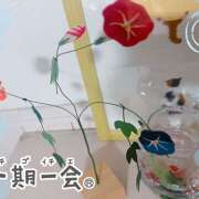 ヒメ日記 2026/07/19 10:09 投稿 ゆうこ あけみ