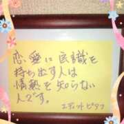 ヒメ日記 2024/06/23 11:43 投稿 よしの あけみ