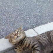 ヒメ日記 2025/02/22 23:26 投稿 よしの あけみ