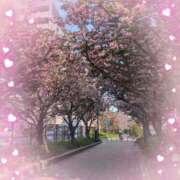 ヒメ日記 2025/04/17 12:15 投稿 よしの あけみ