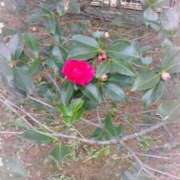 ヒメ日記 2025/05/08 14:29 投稿 よしの あけみ