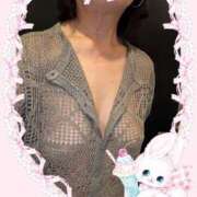 ヒメ日記 2025/12/12 10:22 投稿 よしの あけみ