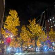 ヒメ日記 2025/12/14 20:25 投稿 よしの あけみ