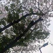 ヒメ日記 2026/04/15 13:00 投稿 よしの あけみ