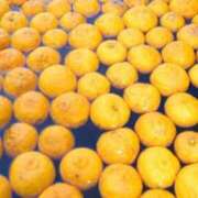 ヒメ日記 2024/12/21 09:45 投稿 茜 シャトーペトラ