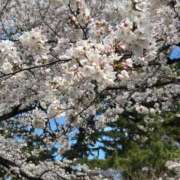 ヒメ日記 2025/04/05 22:17 投稿 茜 シャトーペトラ