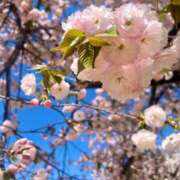 ヒメ日記 2025/04/11 16:45 投稿 茜 シャトーペトラ