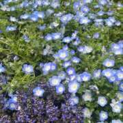 ヒメ日記 2025/05/09 14:28 投稿 茜 シャトーペトラ