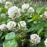 ヒメ日記 2025/05/28 15:43 投稿 茜 シャトーペトラ