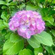 ヒメ日記 2025/06/06 16:34 投稿 茜 シャトーペトラ