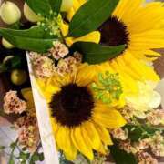 ヒメ日記 2025/06/27 09:42 投稿 茜 シャトーペトラ