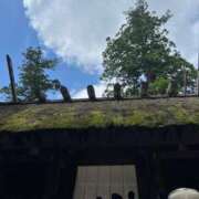 ヒメ日記 2025/08/08 07:45 投稿 茜 シャトーペトラ