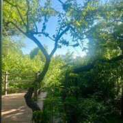 ヒメ日記 2025/08/20 18:16 投稿 茜 シャトーペトラ