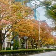 ヒメ日記 2025/11/12 10:00 投稿 茜 シャトーペトラ