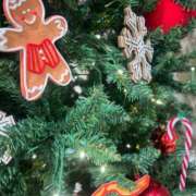 茜 水、金、土を引き継ぎ♨️ シャトーペトラ