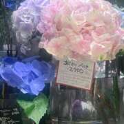 ヒメ日記 2026/06/16 17:42 投稿 茜 シャトーペトラ