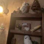 ヒメ日記 2024/12/29 17:18 投稿 かな One More奥様　厚木店