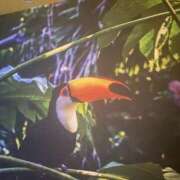 ヒメ日記 2025/01/06 09:58 投稿 かな One More奥様　厚木店