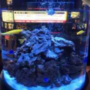 ヒメ日記 2025/02/07 07:58 投稿 かな One More奥様　厚木店